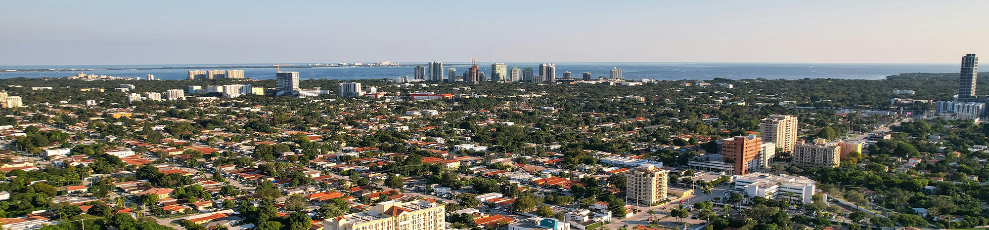 Florida Regulations for Non-Dealer Buyers on Online Auto Auctions